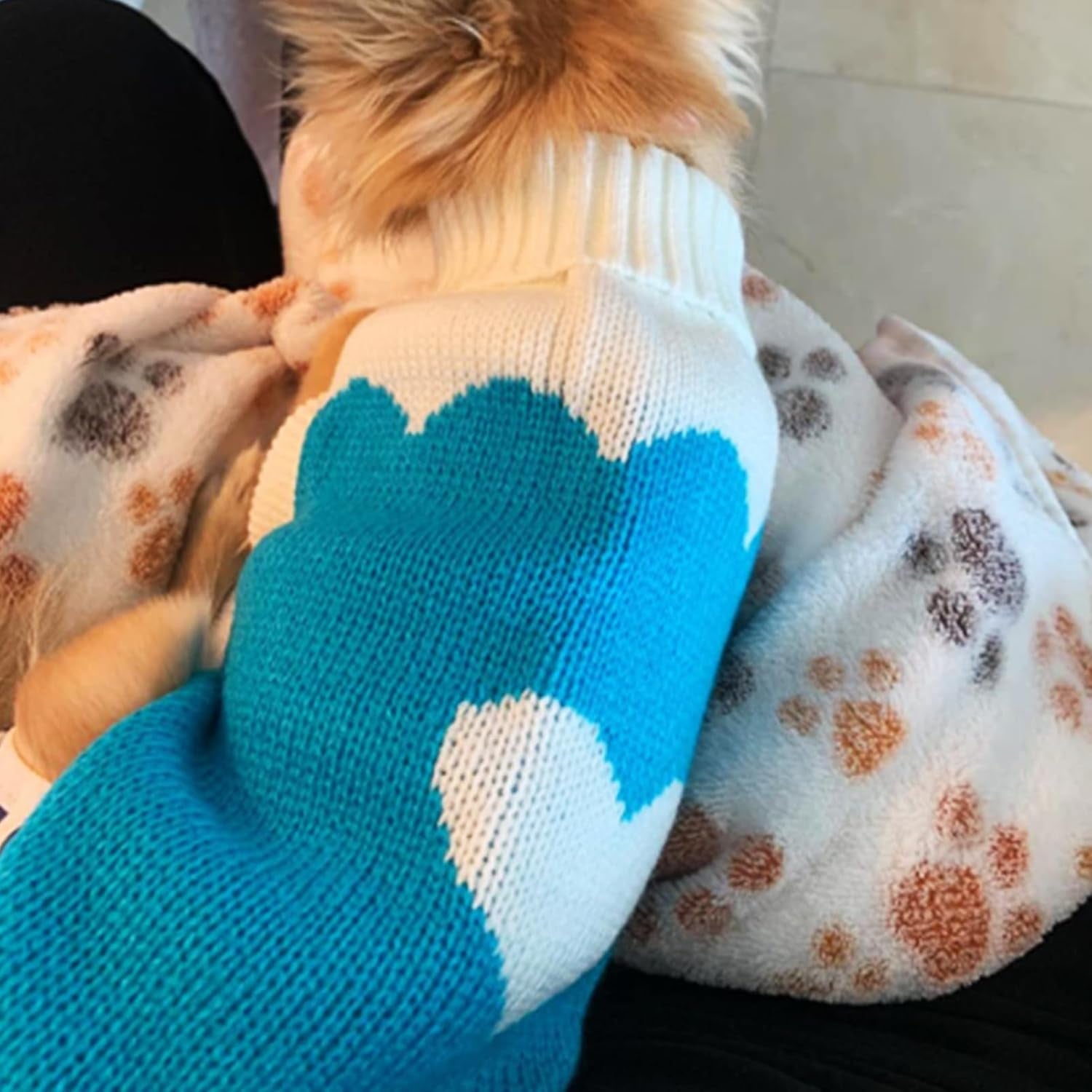 Classic Knit Turtleneck Dog Sweater for Winter - Cute Strawberry and Heart Design in Sky Blue, XX-Small