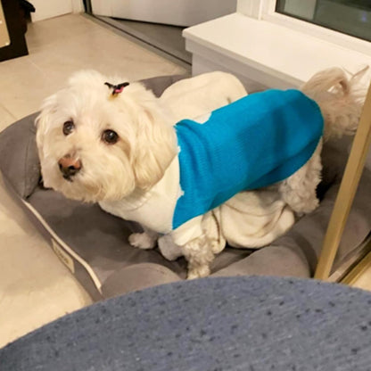 Classic Knit Turtleneck Dog Sweater for Winter - Cute Strawberry and Heart Design in Sky Blue, XX-Small